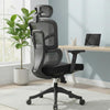 MRC Aero Cushion Ergonomic Office Chair | High Back Mesh with Auto-Adjustable Lumbar Support - MRC Executive Chairs