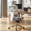 MRC Aero Cushion Ergonomic Office Chair | High Back Mesh with Auto-Adjustable Lumbar Support - MRC Executive Chairs