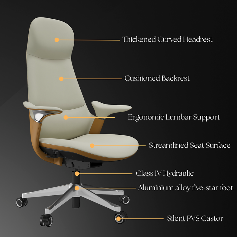 MRC Jupiter - MRC Executive Chairs
