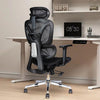 MRC Panther Premium Korean Mesh Ergonomic Office Chair| High Back with Auto Lumbar Support, 3D Armrests - MRC Executive Chairs