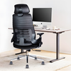 MRC Spine Ergonomic Office Chair, Skeleton Lumbar Support,3D Armrests,Multi-Tilt Lock Mechanism - MRC Executive Chairs