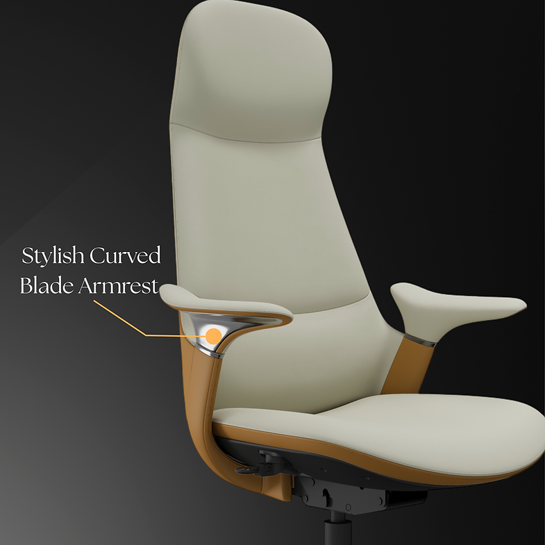 MRC Jupiter - MRC Executive Chairs